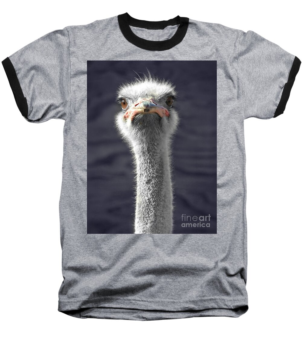 Hairy Fuzzball Baseball T-Shirt featuring the photograph Hairy Fuzzball by Kathy M Krause