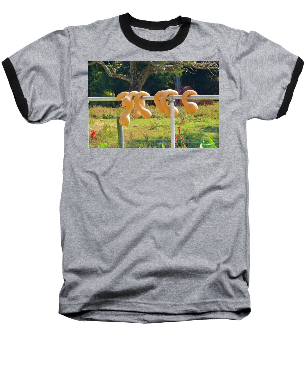 Autumn Baseball T-Shirt featuring the photograph Hang In There by Jeanette Oberholtzer