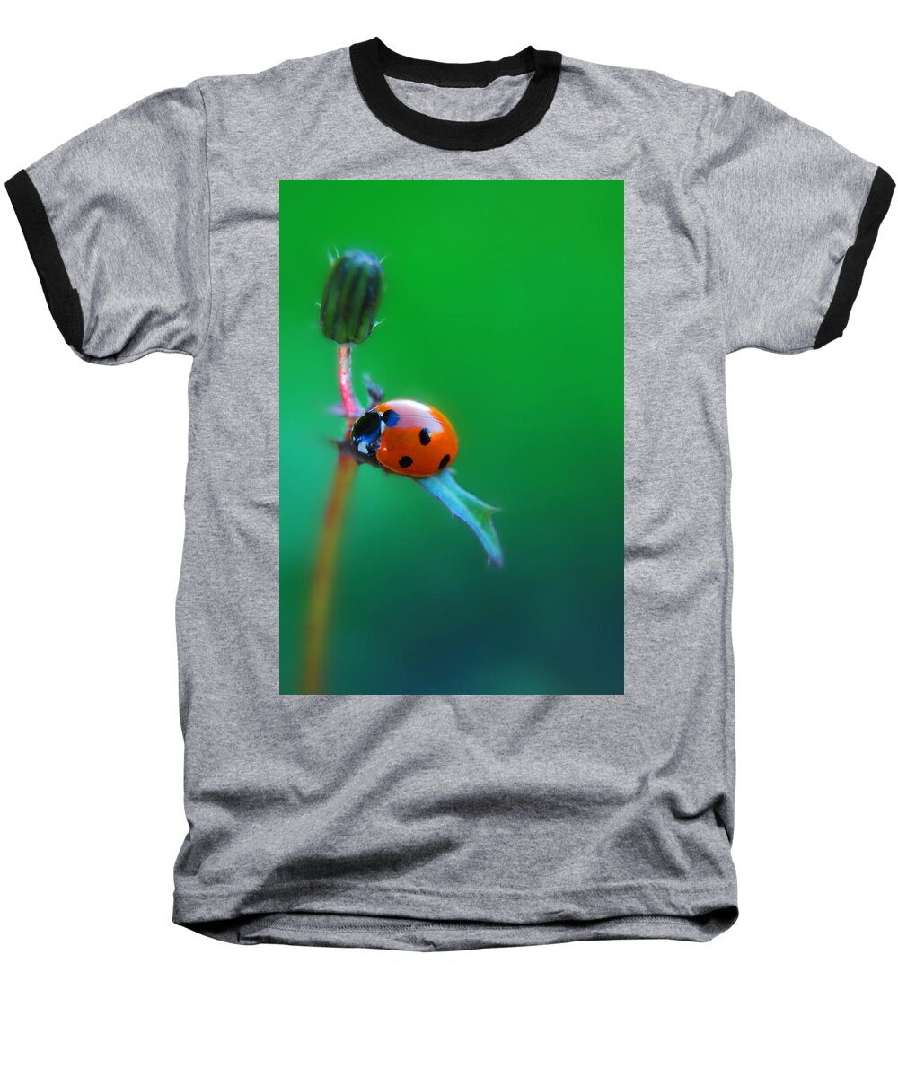 Yhun Suarez Baseball T-Shirt featuring the photograph Hang by Yhun Suarez