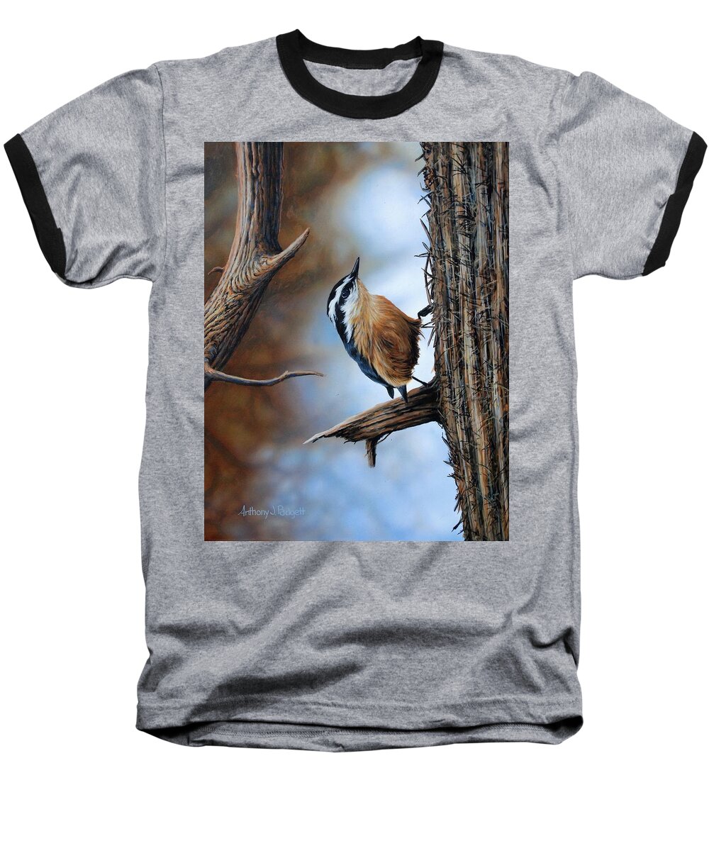 Nuthatch Baseball T-Shirt featuring the painting Hangin Out - Nuthatch by Anthony J Padgett