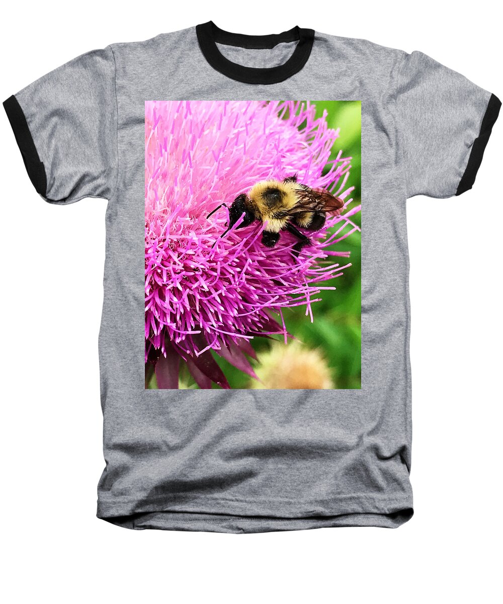 Bee Baseball T-Shirt featuring the photograph Happiness by Jeff Iverson