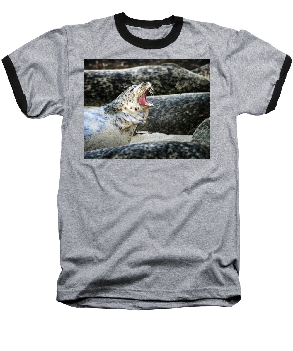 Harbor Seal Baseball T-Shirt featuring the photograph Harbor Seal by Anthony Jones