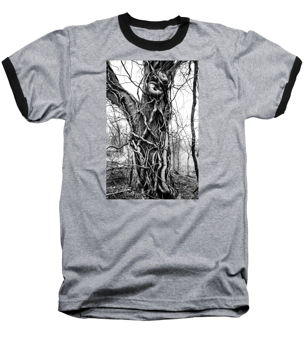 Nature Baseball T-Shirt featuring the photograph Hard Embrace by Jeff Phillippi