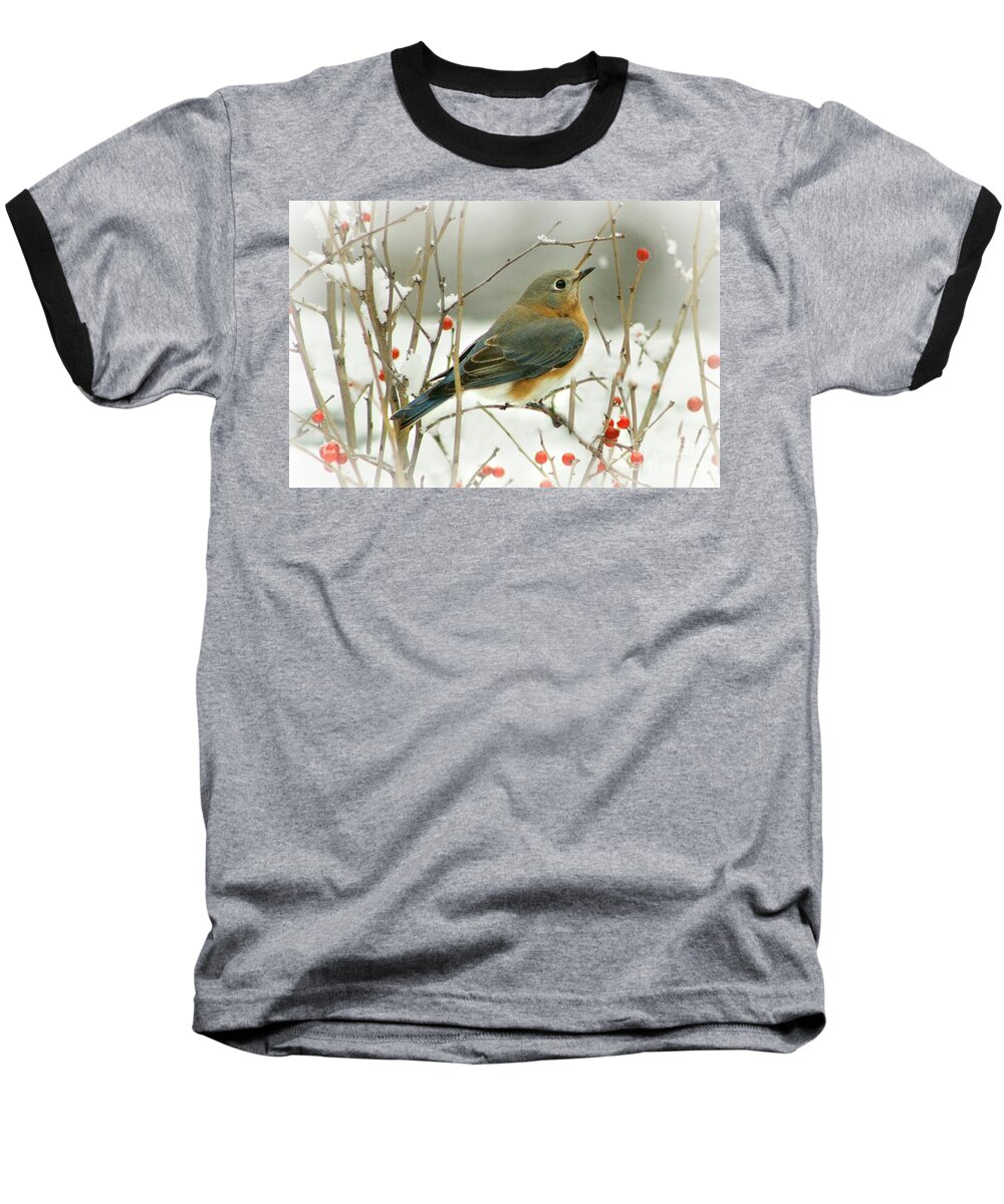 Bird Baseball T-Shirt featuring the photograph Hearts Desire by Barbara S Nickerson