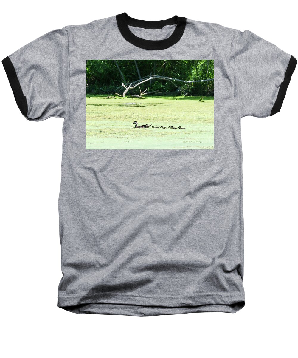 Heron Heaven Baseball T-Shirt featuring the photograph Hen And Baby Wood Ducks by Ed Peterson