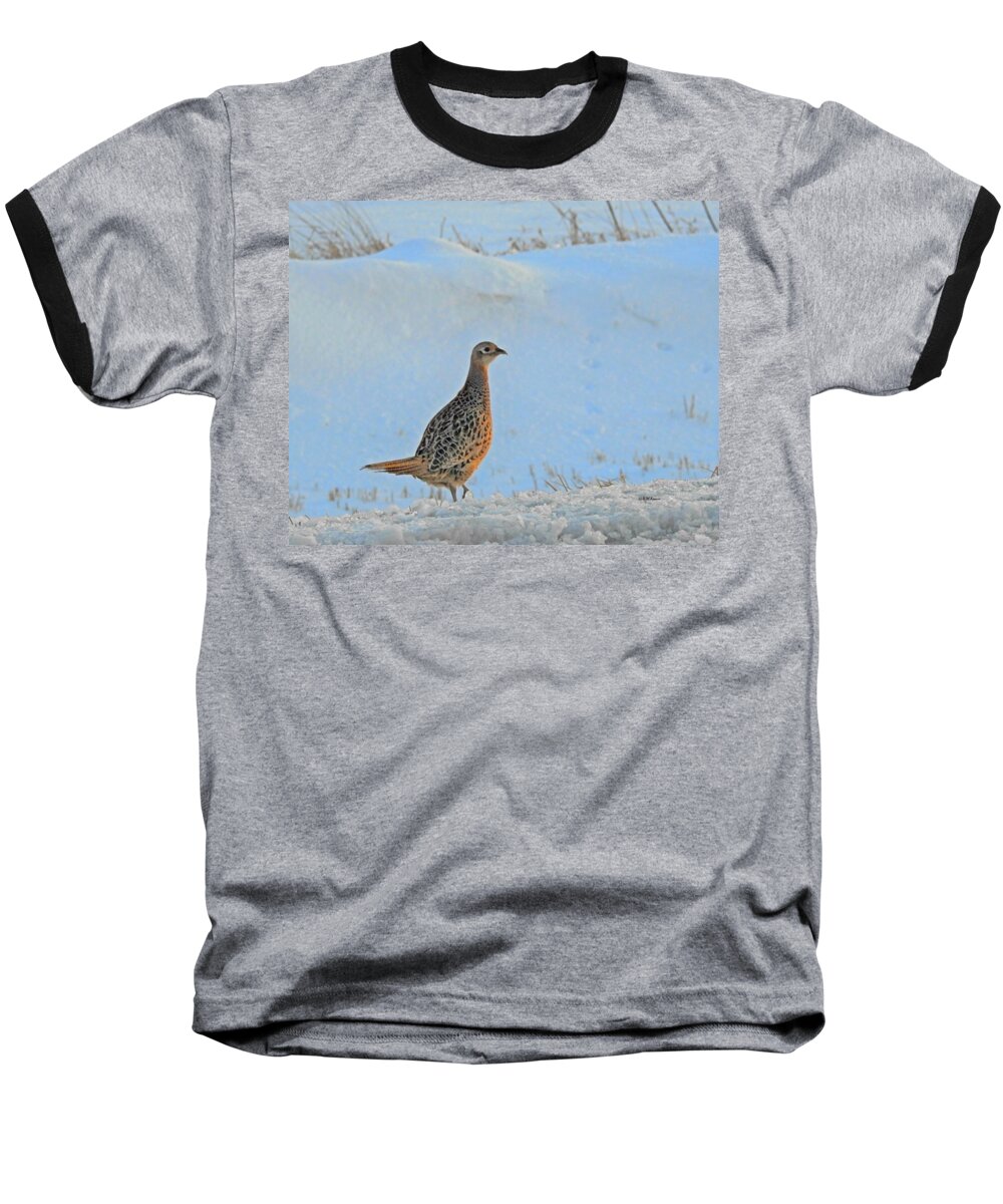 Hen Pheasant Baseball T-Shirt featuring the photograph Hen Pheasant by Kathy M Krause