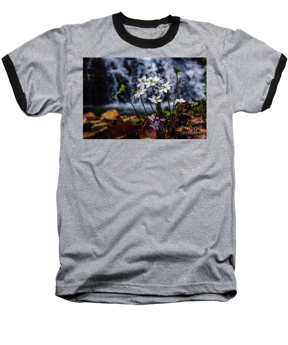 Hepatica Baseball T-Shirt featuring the photograph Hepatica and Waterfall by Thomas R Fletcher
