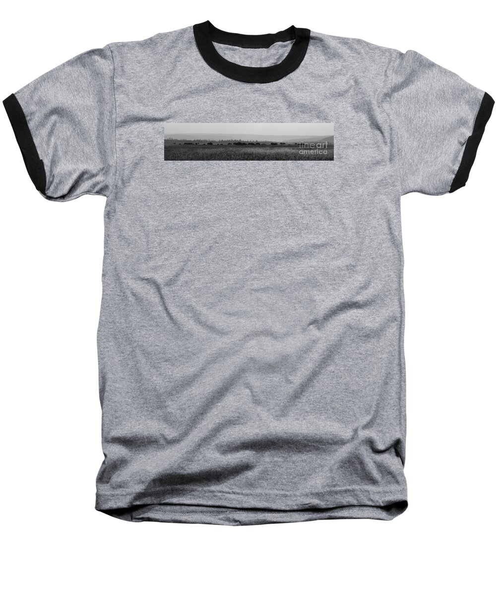Herd Baseball T-Shirt featuring the photograph Herd Of Bison Grazing Panorama BW by Michael Ver Sprill