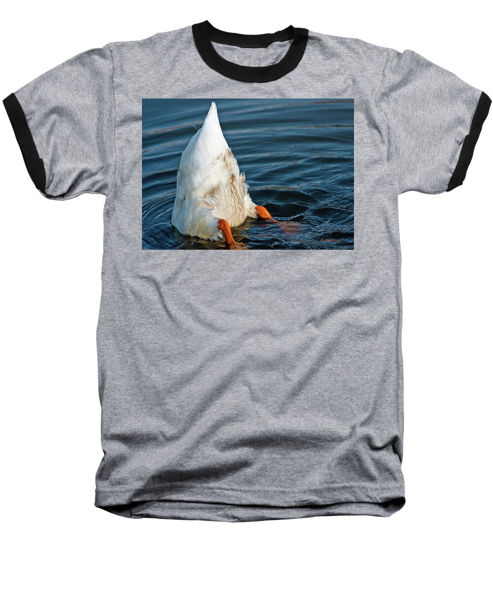 Duck Baseball T-Shirt featuring the photograph Here Is What I Think by Ed Peterson