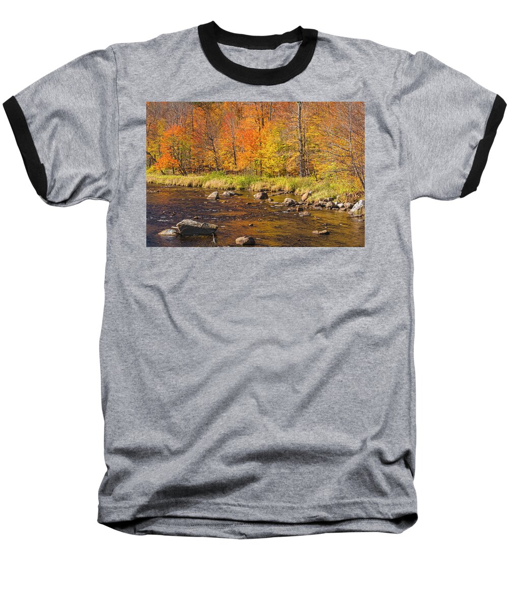 Adirondack Mountains Baseball T-Shirt featuring the photograph Heron In Golden Paradise by Angelo Marcialis