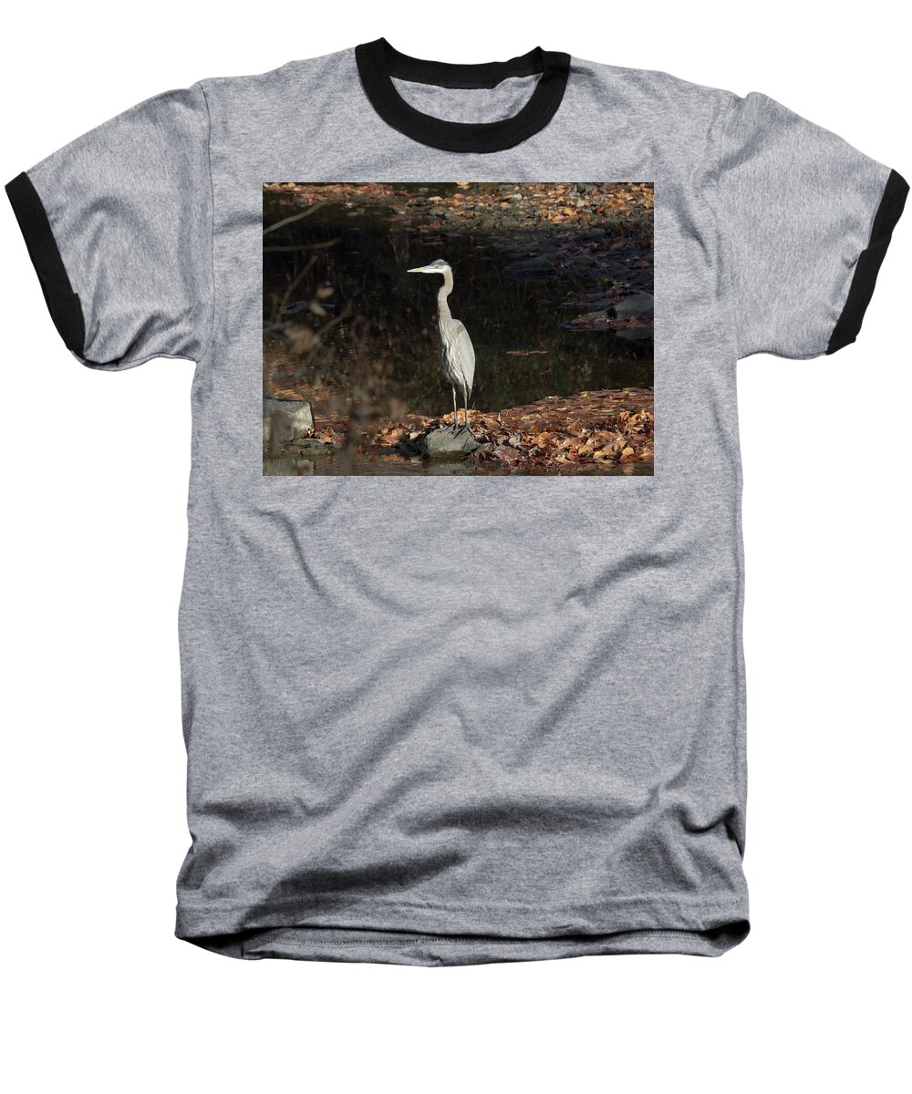 Birds Baseball T-Shirt featuring the photograph Heron by Paul Ross