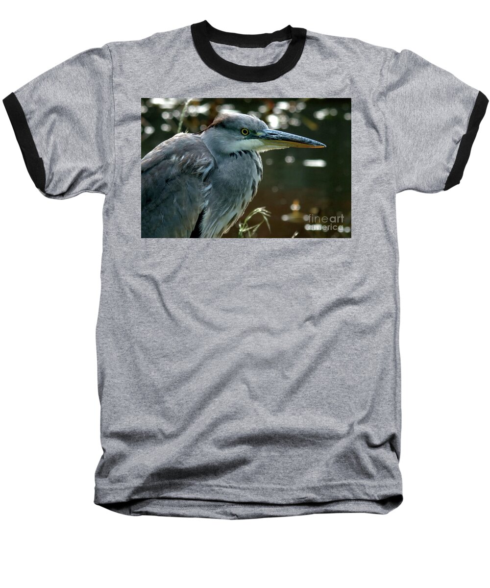 Bird Baseball T-Shirt featuring the photograph Herons Looking At You Kid by Stephen Melia