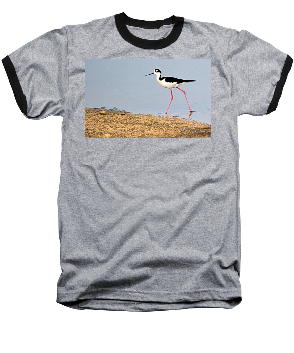 Birds Baseball T-Shirt featuring the photograph Hi-Stepper by AJ Schibig
