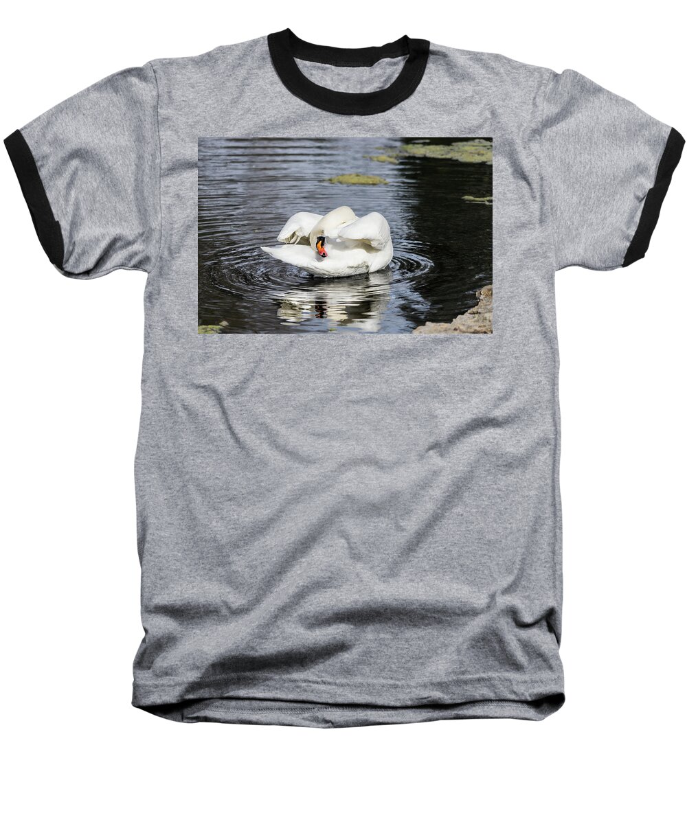 Cathy Donohoue Photography Baseball T-Shirt featuring the photograph Hide and Seek by Cathy Donohoue