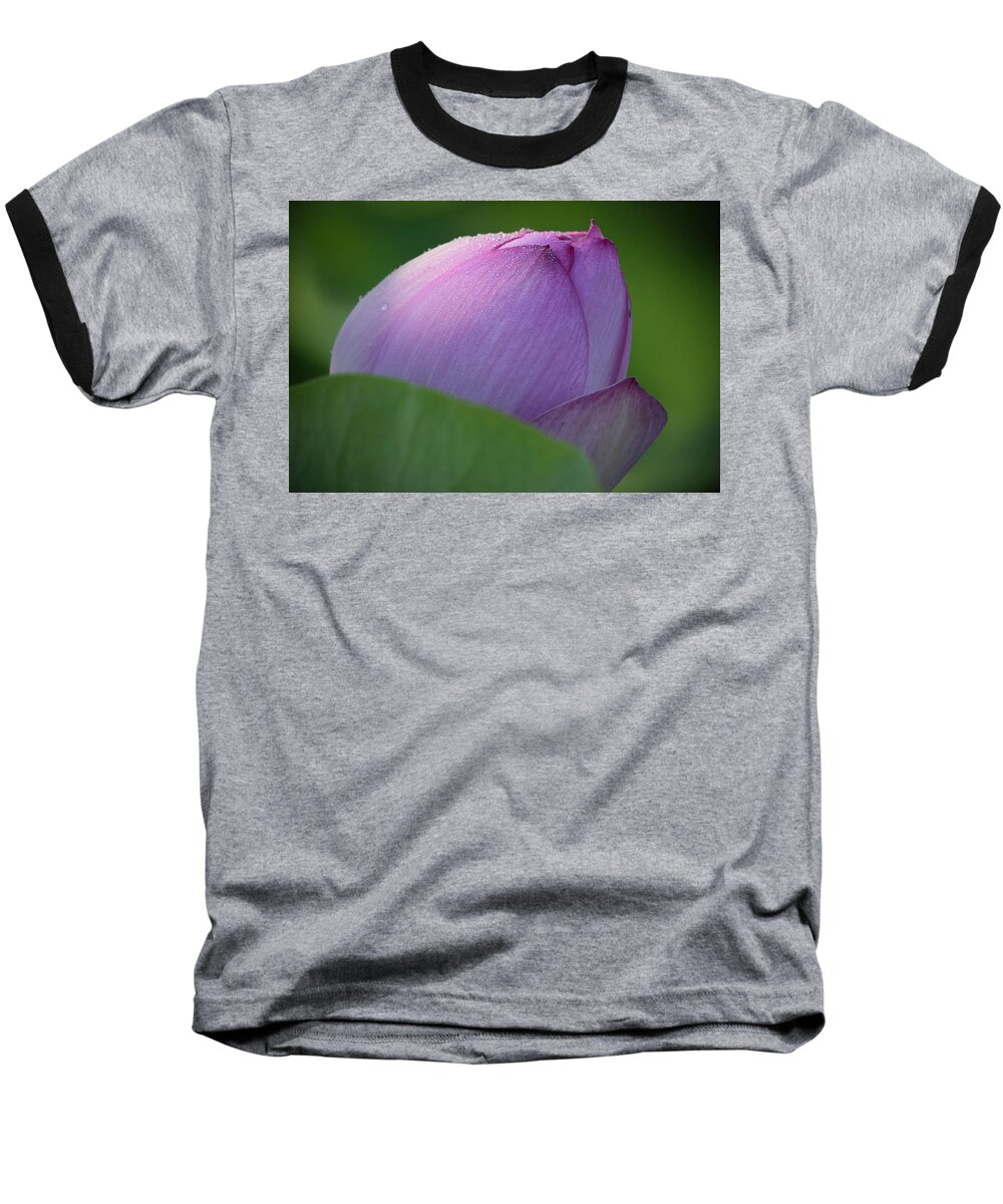 Lotus Baseball T-Shirt featuring the photograph Hiding Lotus by Jack Nevitt