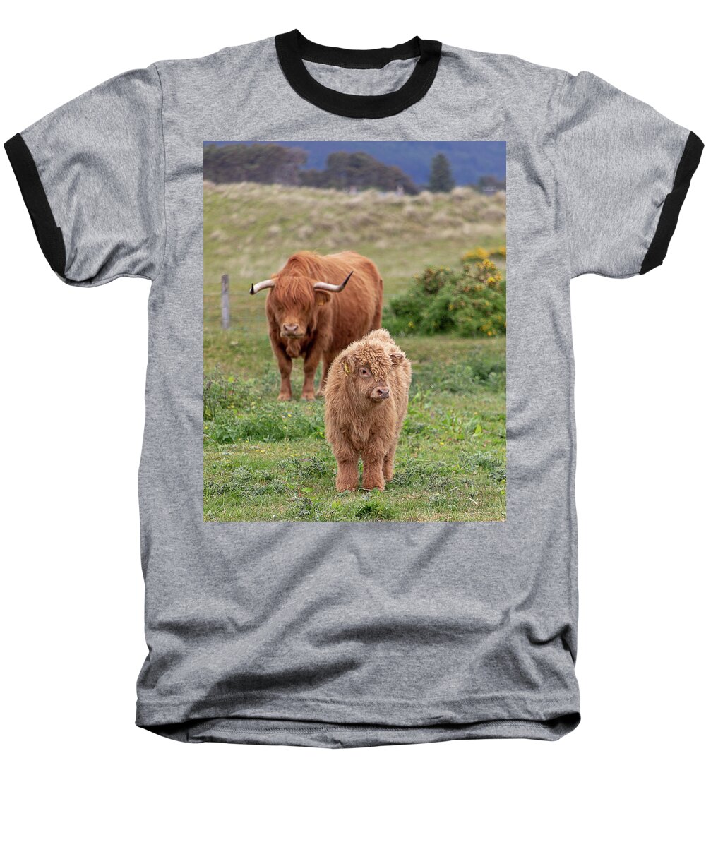Animal Baseball T-Shirt featuring the photograph Highland Calf and Mom by Teresa Wilson