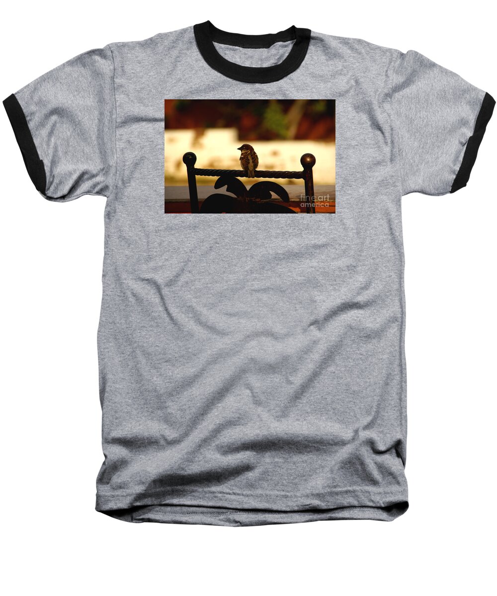 Bird Baseball T-Shirt featuring the photograph His Eye Is On The Sparrow by Linda Shafer