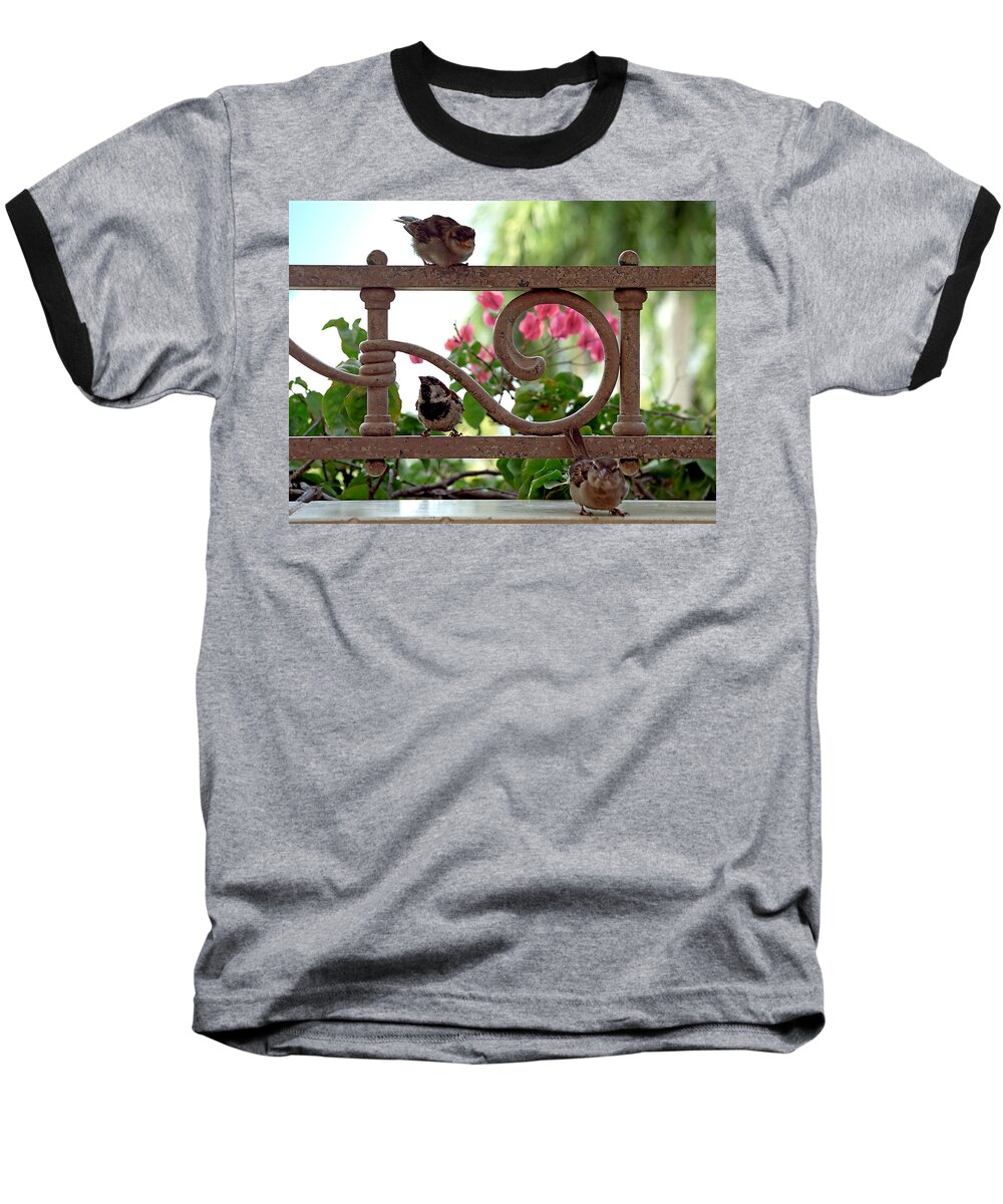 Sparrow Baseball T-Shirt featuring the photograph His Eye is on the Sparrow by Marie Hicks