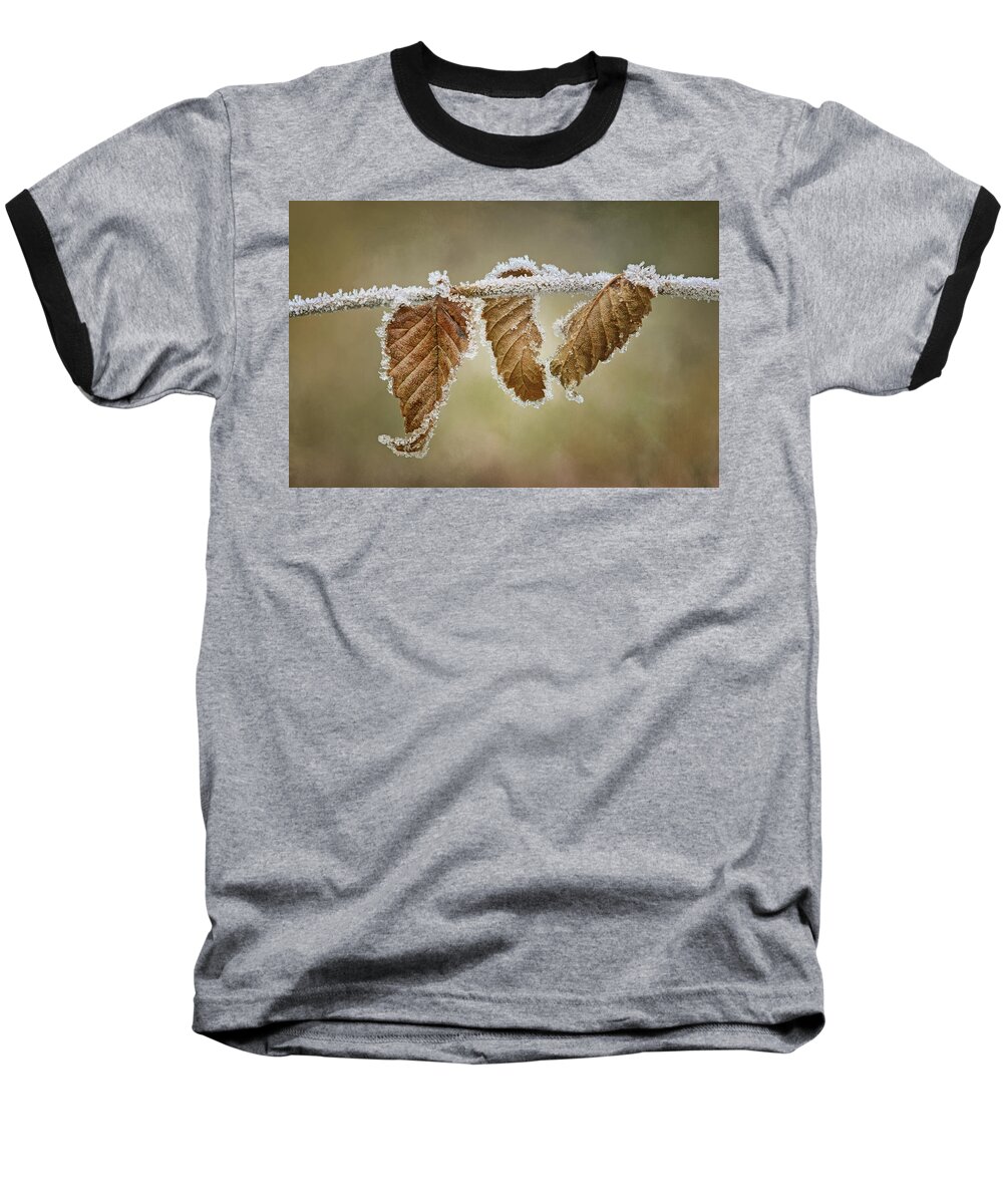 Hoar Frost Baseball T-Shirt featuring the photograph Hoar Frost - Leaves by Nikolyn McDonald