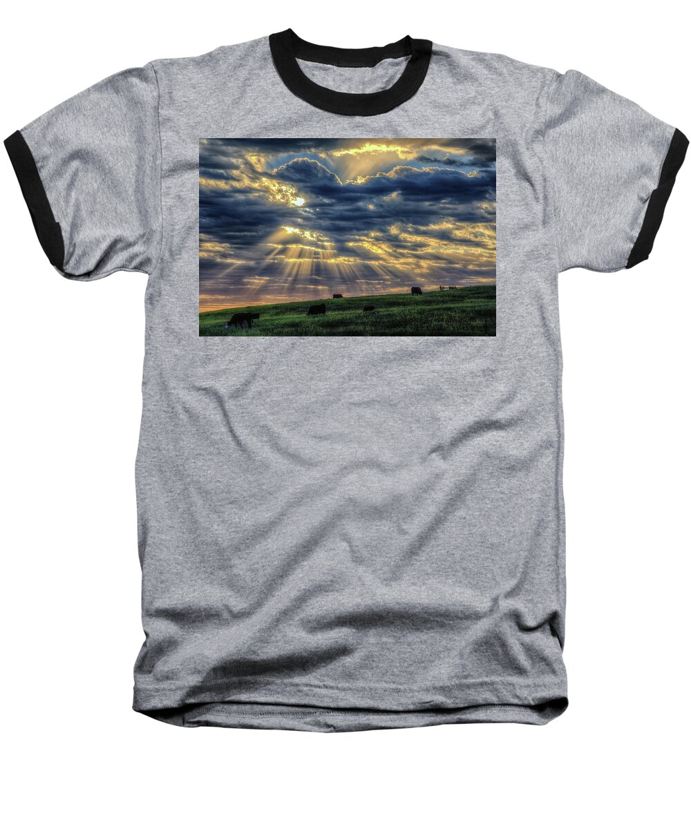 Sunbeam Baseball T-Shirt featuring the photograph Holy Cow by Fiskr Larsen