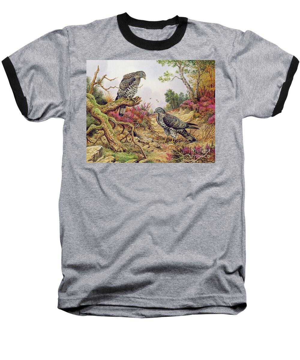Buzzard Baseball T-Shirt featuring the painting Honey Buzzards by Carl Donner