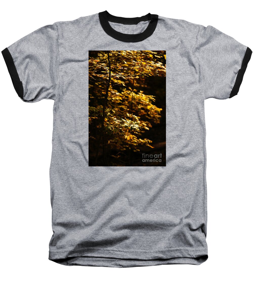 Autumn Baseball T-Shirt featuring the photograph Hope Leaves by Linda Shafer