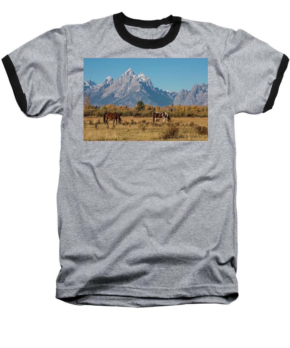 Horse Baseball T-Shirt featuring the photograph Horses of the Tetons by Jody Partin