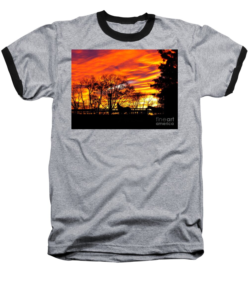 Horse Baseball T-Shirt featuring the photograph Horses Under a Painted Sky by Donald C Morgan