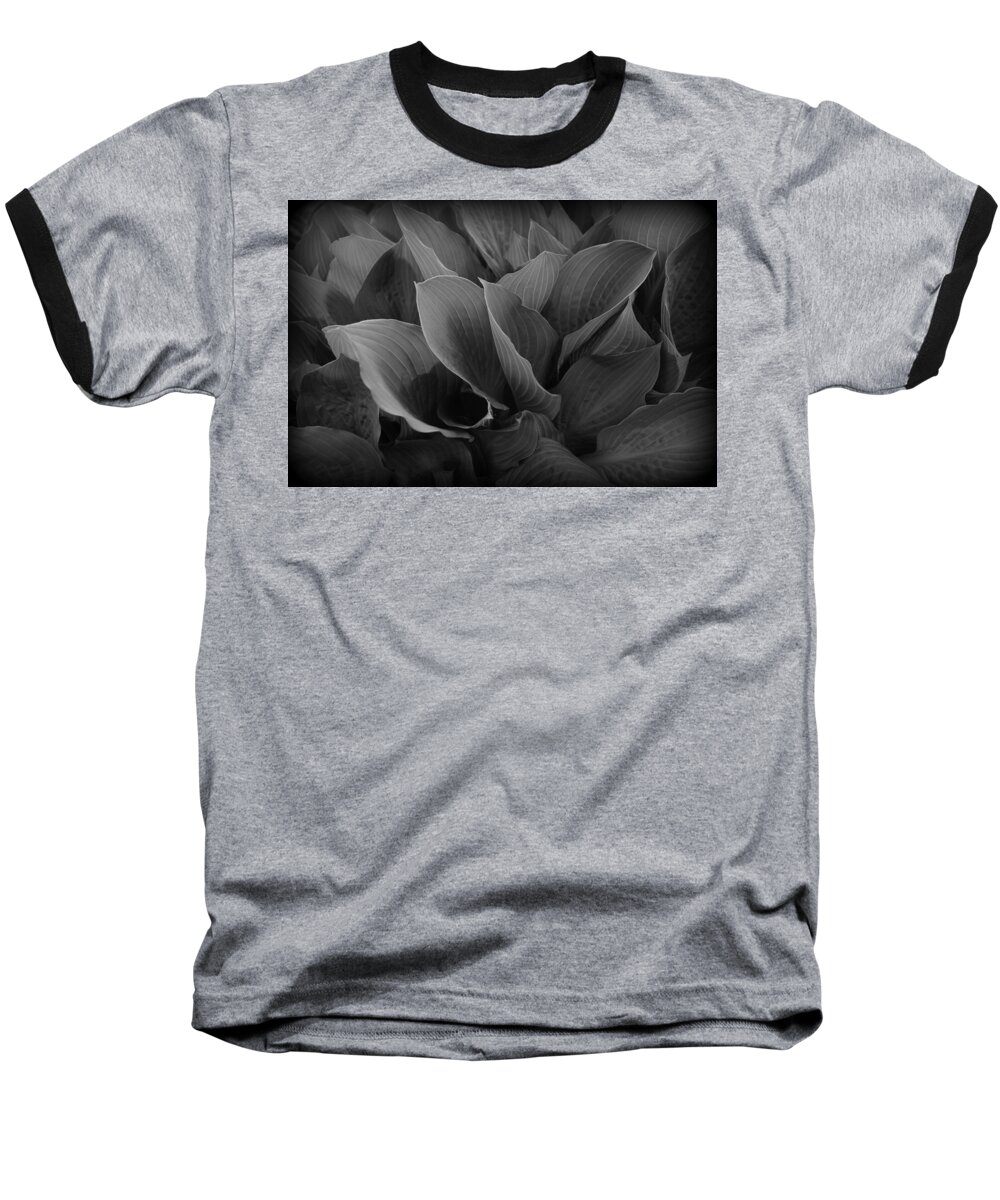 Plant Baseball T-Shirt featuring the photograph Hosta Foliage by Nathan Abbott
