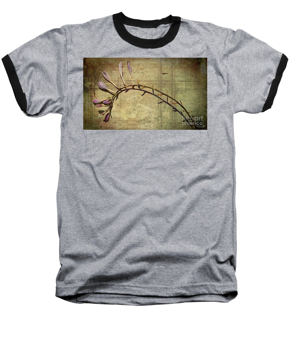 Minimalism Baseball T-Shirt featuring the photograph Hosta's final shadow by Rene Crystal