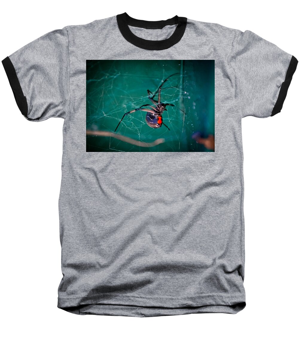 Brown Widow Baseball T-Shirt featuring the photograph Hour Glass of Death by DigiArt Diaries by Vicky B Fuller