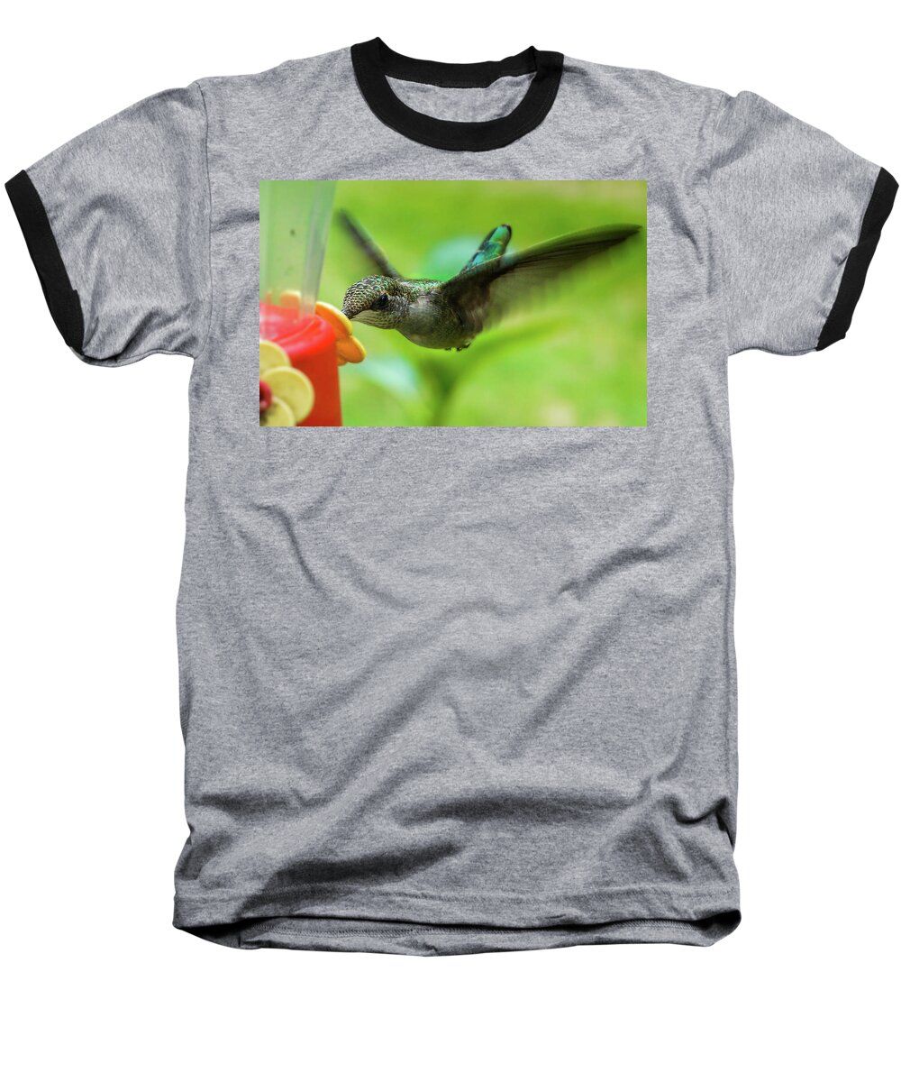  Baseball T-Shirt featuring the painting Hummingbird 3 by Jessie Henry