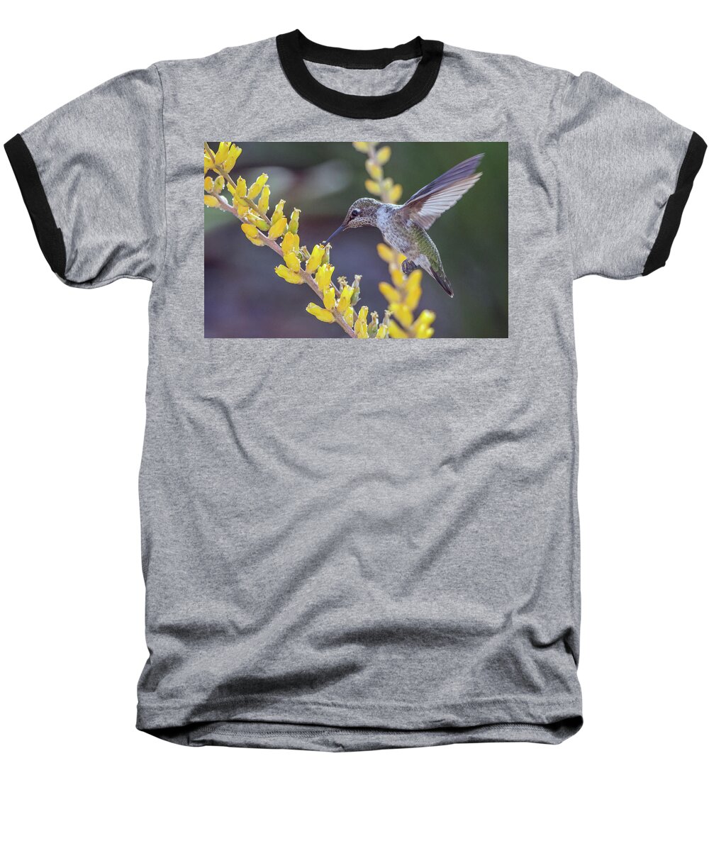 Hummingbird Baseball T-Shirt featuring the photograph Hummingbird 6750-041818-1cr by Tam Ryan