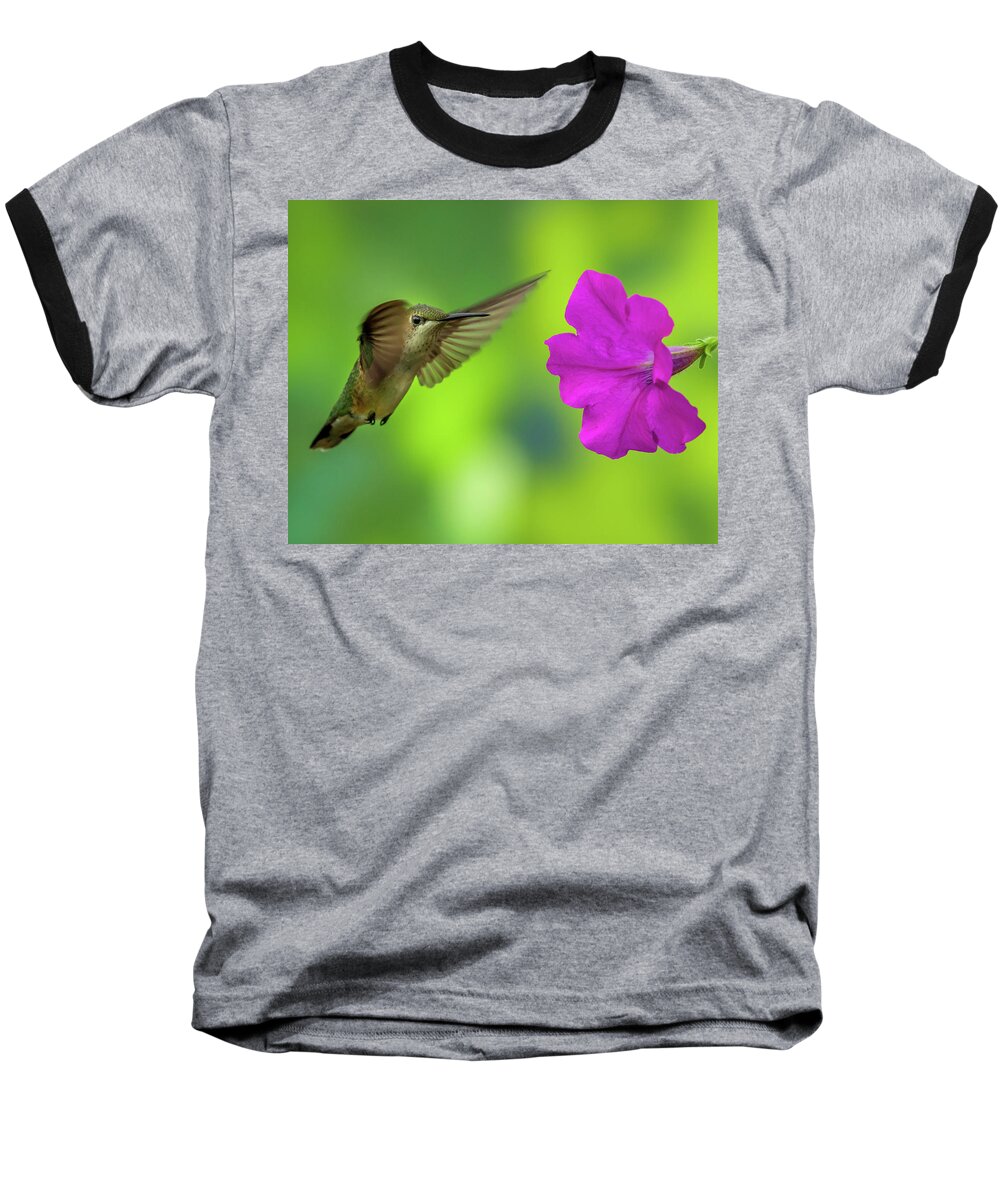 Hummingbird Baseball T-Shirt featuring the photograph Hummingbird and Flower by Allin Sorenson