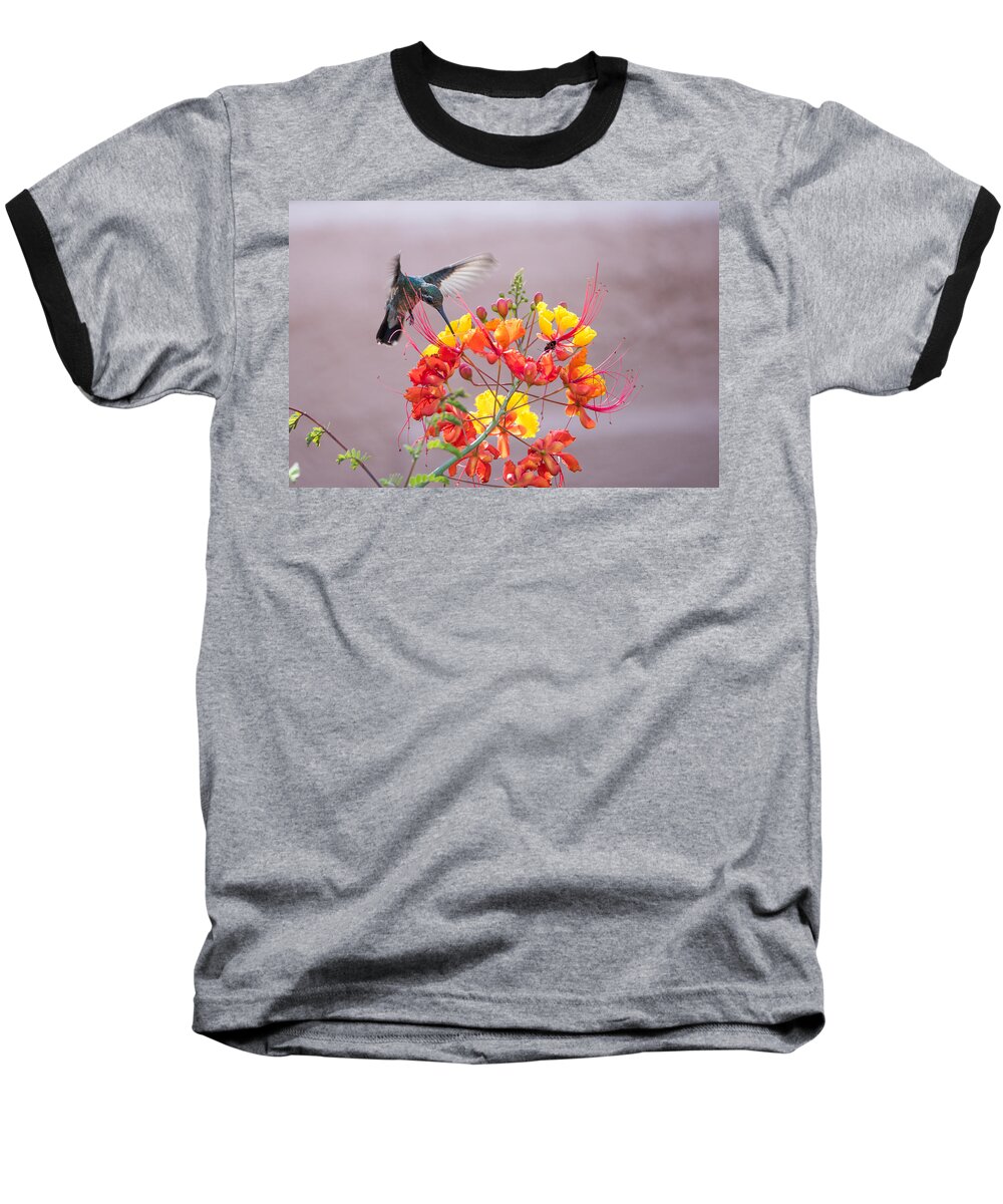 Tucson Baseball T-Shirt featuring the photograph Hummingbird at work by Dan McManus