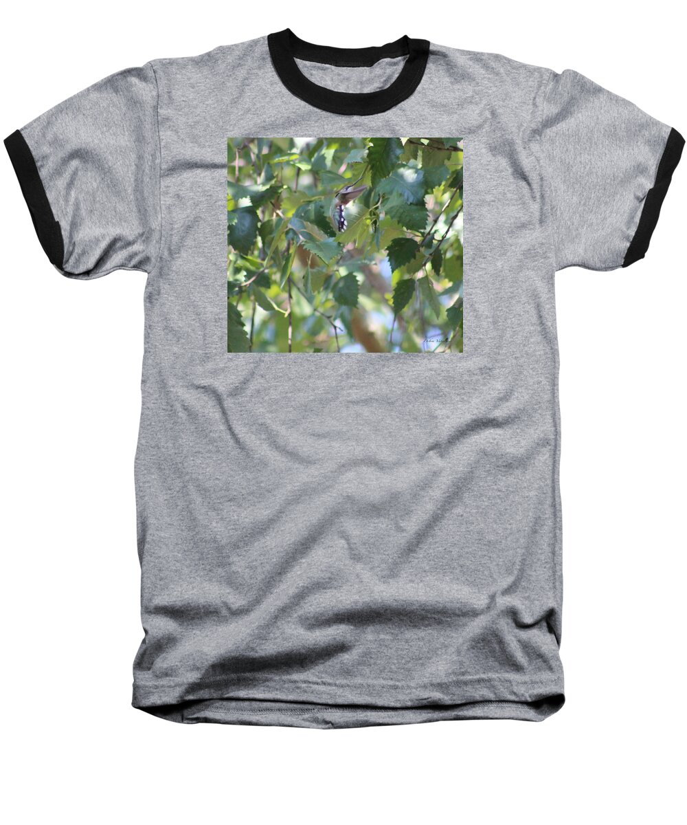 Hummingbird Baseball T-Shirt featuring the photograph Hummingbird by Debra   Vatalaro