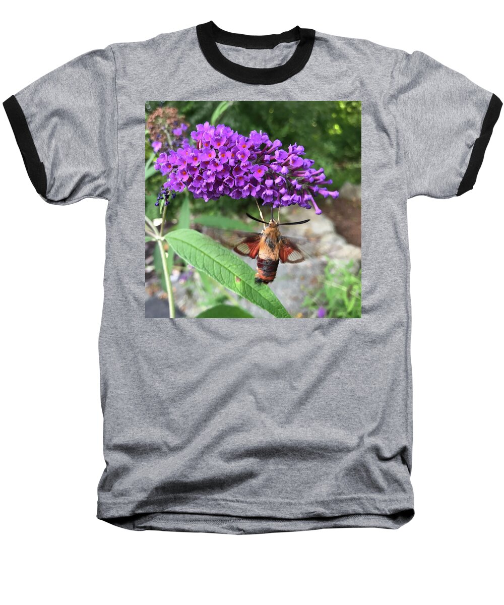 Hummingbird Baseball T-Shirt featuring the photograph Hummingbird Moth by Jason Nicholas