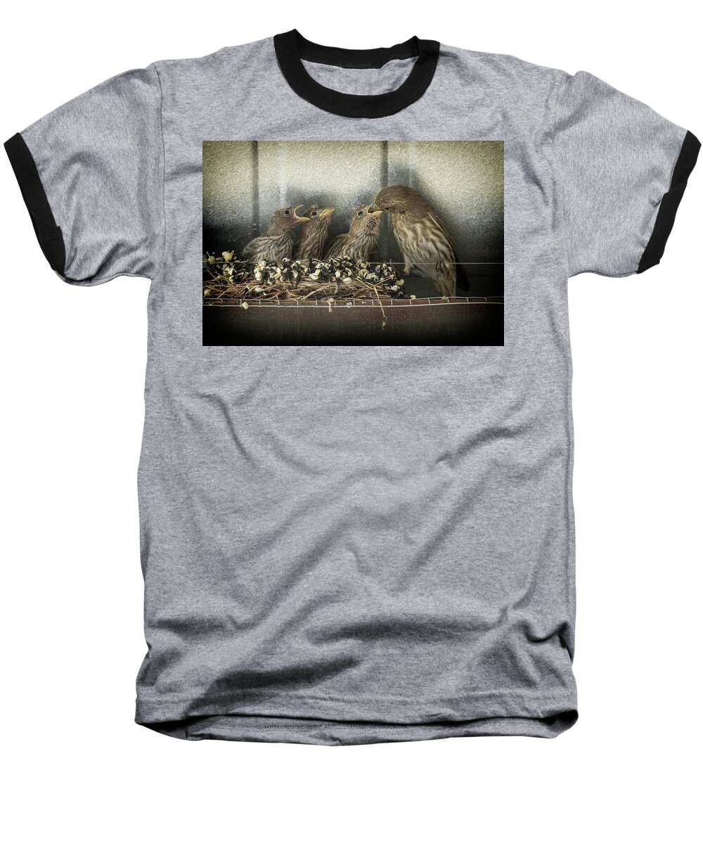 Wild Birds Baseball T-Shirt featuring the photograph Hungry Chicks by Alan Toepfer