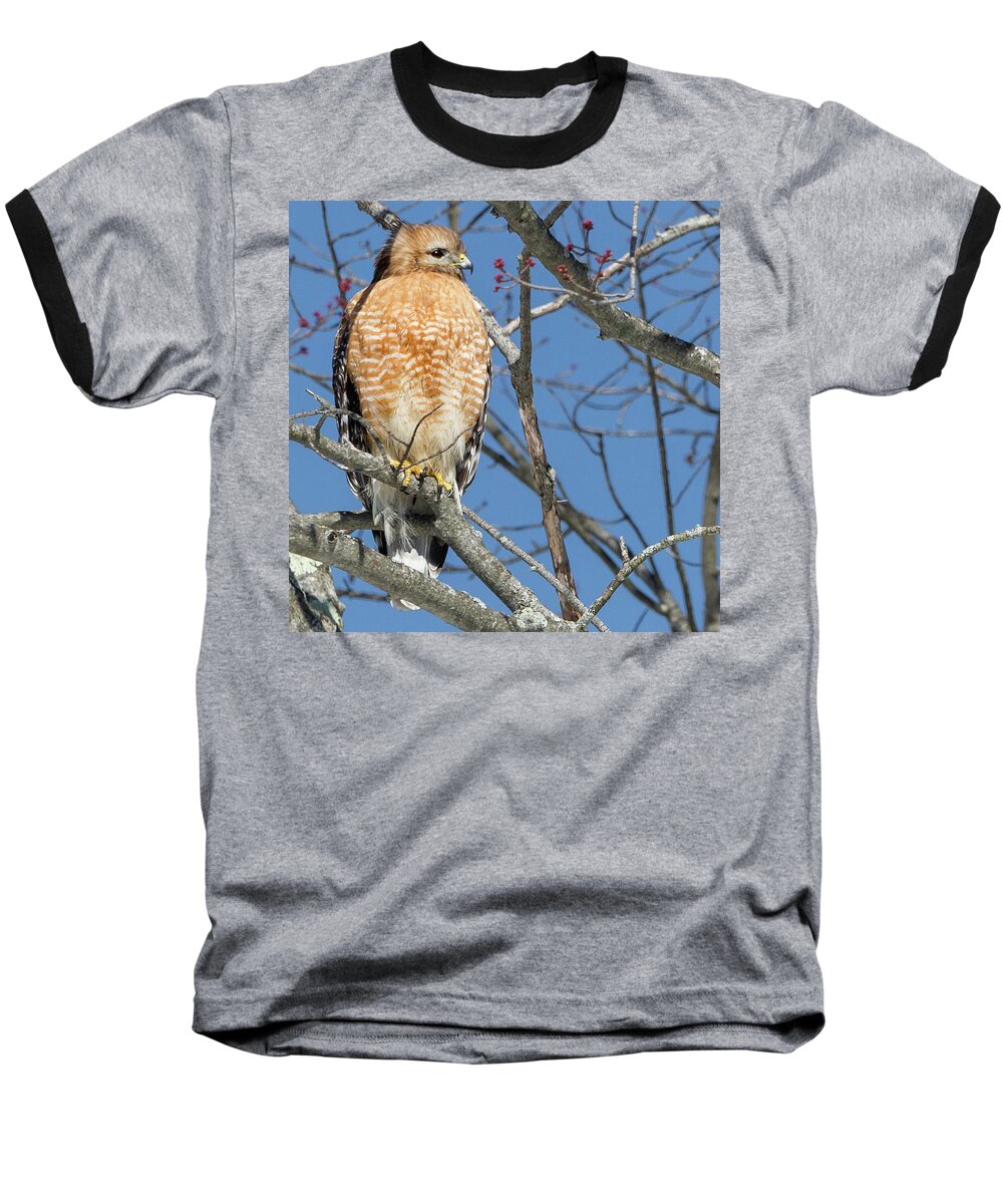 Square Baseball T-Shirt featuring the photograph Hunter Square by Bill Wakeley