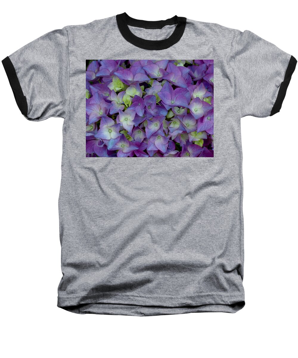 Hydrangia Baseball T-Shirt featuring the photograph Hydrangia Blossom by Shirley Heyn