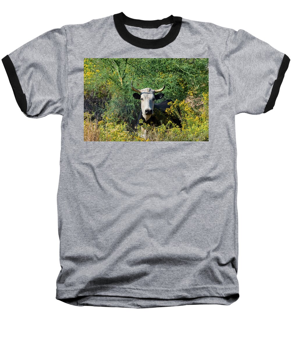 Moo Baseball T-Shirt featuring the photograph I Picked These For Moo by Douglas Killourie