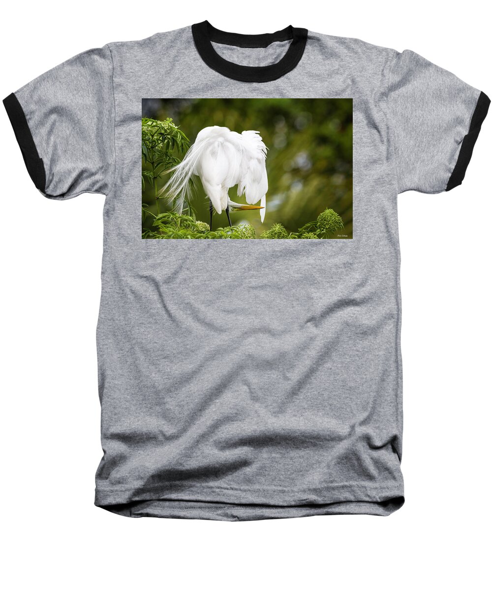 Bird Baseball T-Shirt featuring the photograph I See You by Fran Gallogly