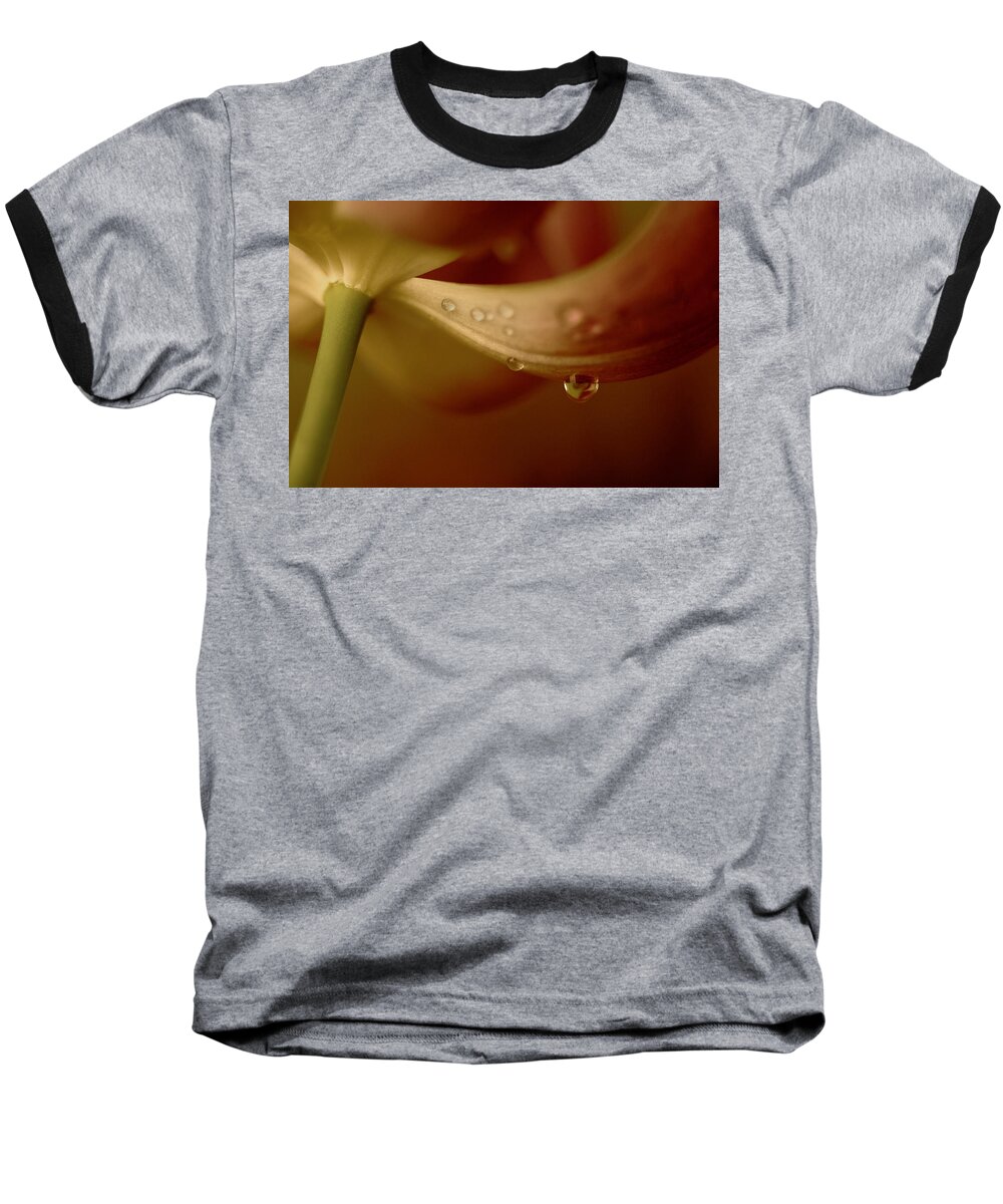 Tulip Baseball T-Shirt featuring the photograph I Think it Sings by Bob Cournoyer