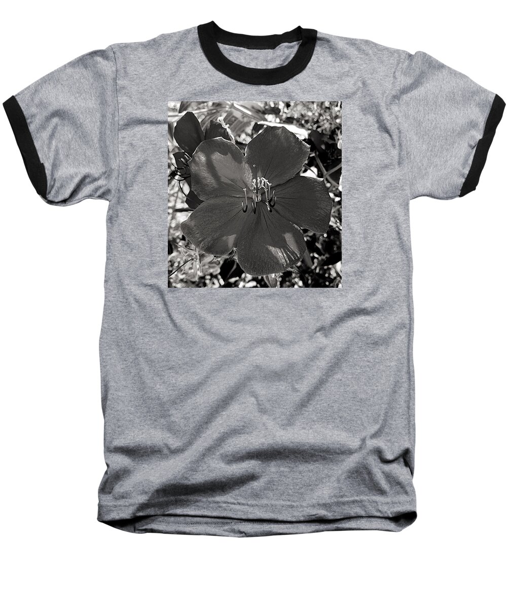 Flower Baseball T-Shirt featuring the photograph I Was Purple by Brad Hodges