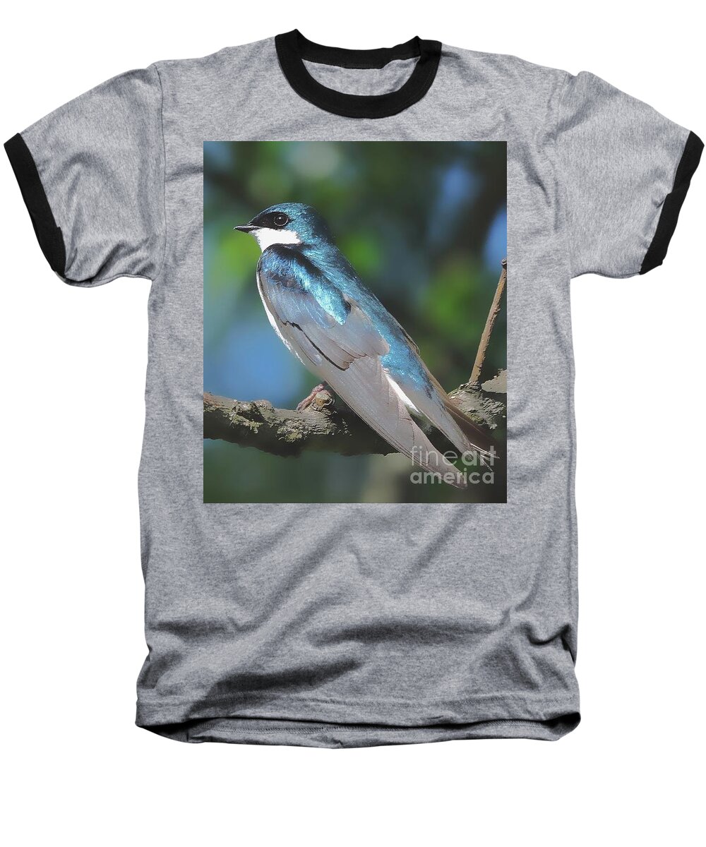 Tree Swallow Baseball T-Shirt featuring the photograph I Will Remember Too by Tami Quigley