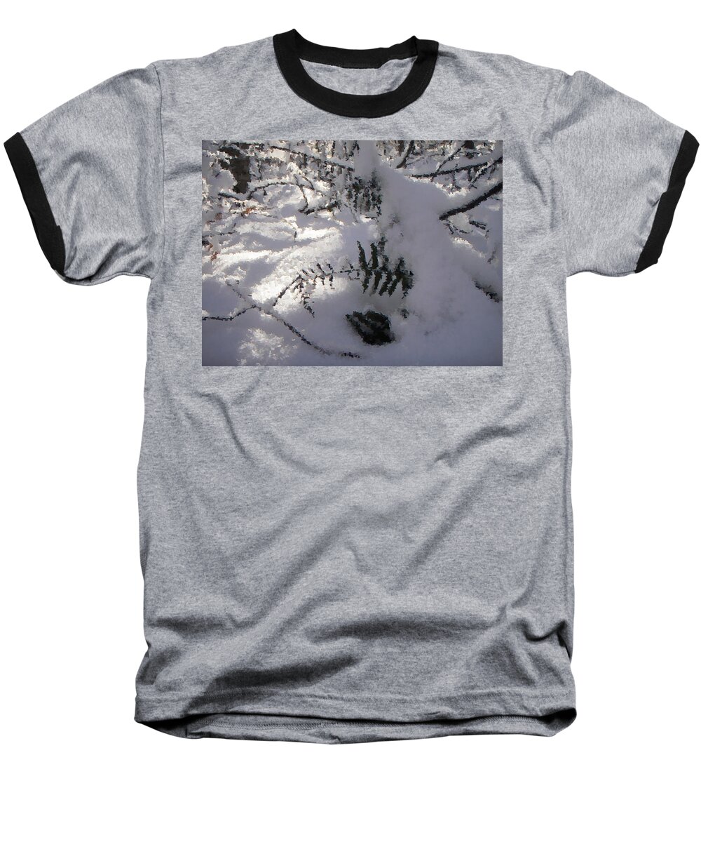 Winter Baseball T-Shirt featuring the photograph Icy Fern by Nicole Angell