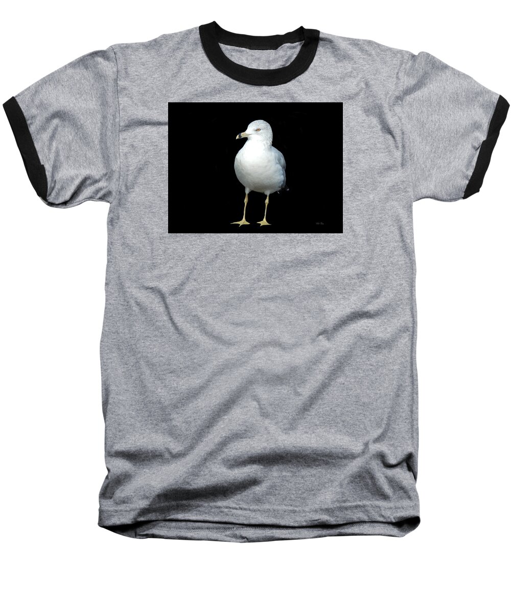 Seagull Baseball T-Shirt featuring the photograph I'm Not As Gullible As I Look by Wild Thing