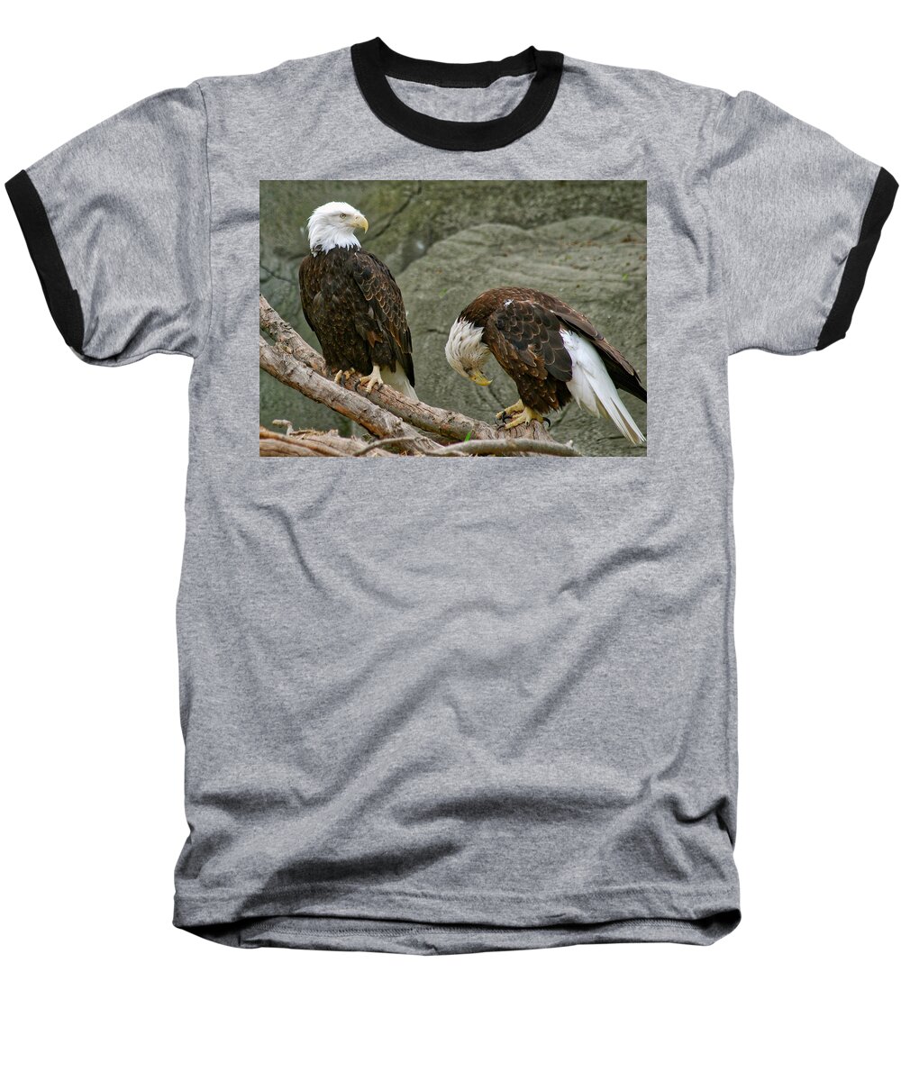 Eagle Baseball T-Shirt featuring the photograph I'm Sorry by Michael Peychich
