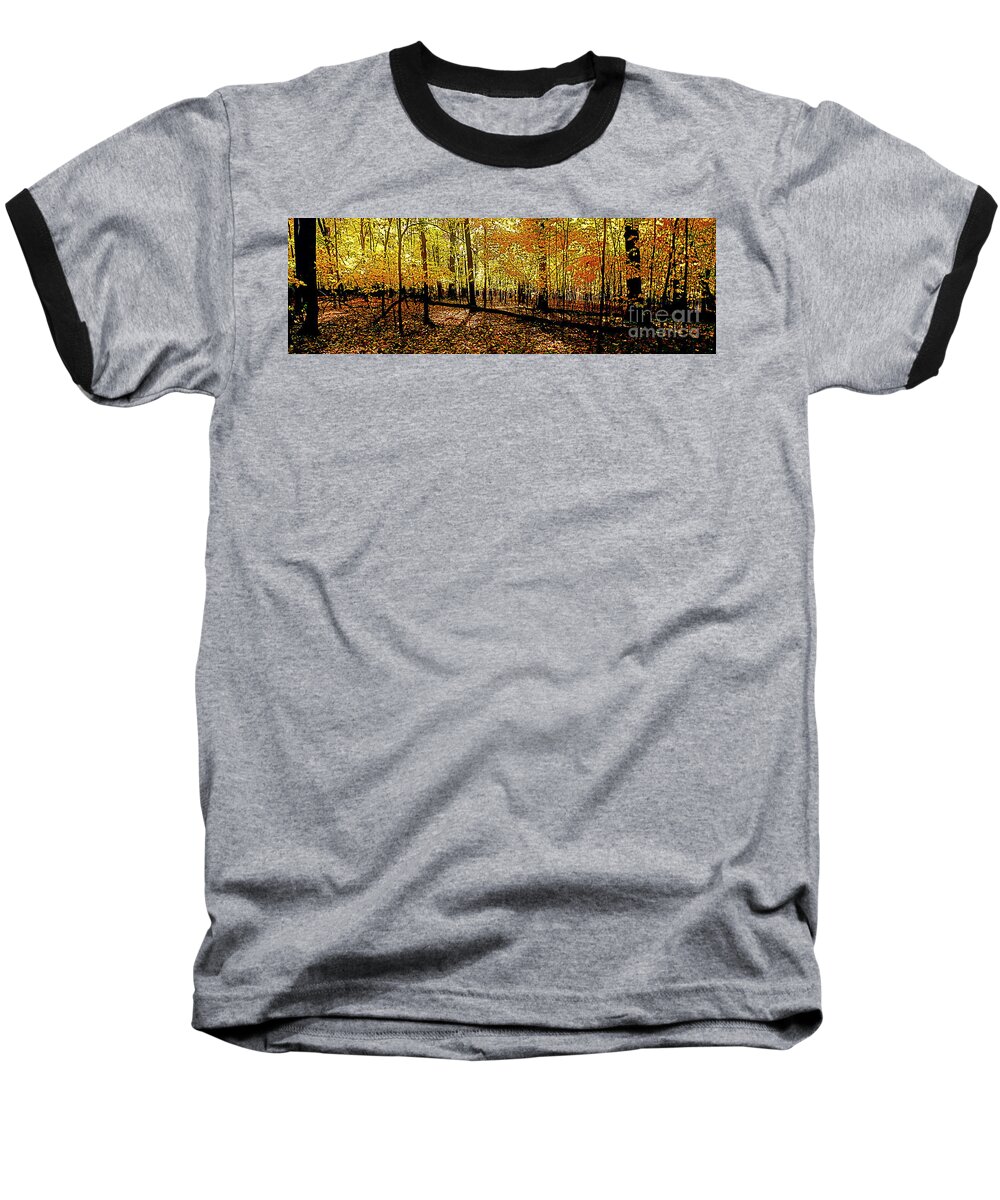 Woods Baseball T-Shirt featuring the photograph In The The Woods, Fall by Tom Jelen