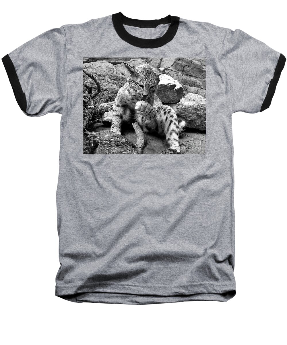 Diane Berry Baseball T-Shirt featuring the photograph In the Woods by Diane E Berry